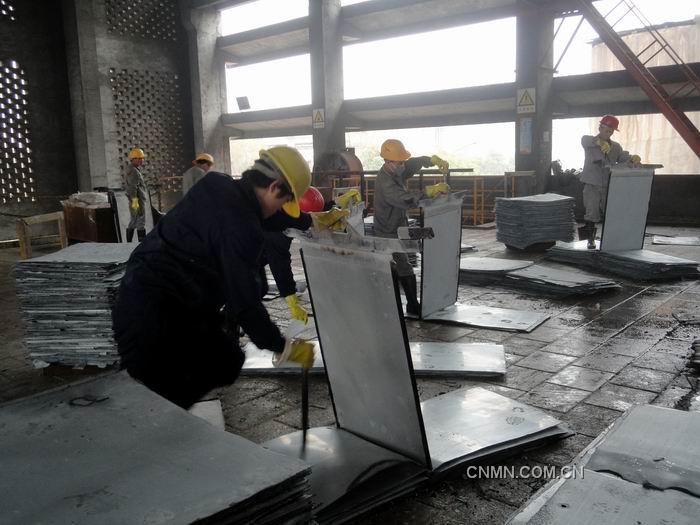 華錫來冶公司2012年元月0#鋅產(chǎn)出率達78%，超出集團公司當(dāng)月考核任務(wù)的28%，為2012年安全、質(zhì)量生產(chǎn)工作打開良好勢頭。圖為電解員工按標準化操作要求進行剝鋅工作