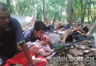 為躲避加納軍警，一些中國采金者在附近的可可樹林躲藏。本版圖片由中國采金者提供