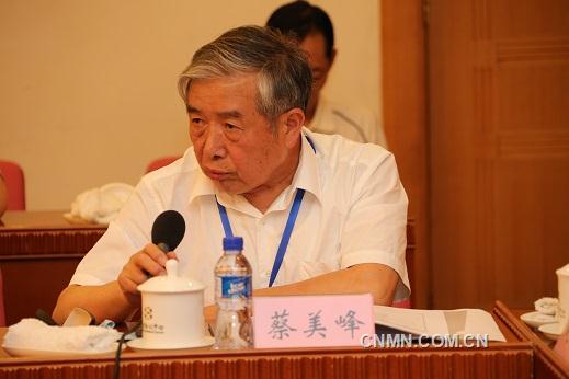 工程院院士蔡美峰
