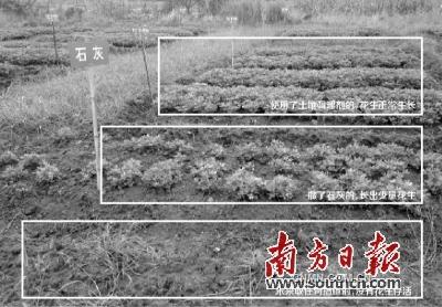韶關(guān)是廣東乃至全國重金屬污染較嚴(yán)重的地區(qū)之一。幾年來，各級政府部門高度重視，探索尋求修復(fù)重金屬污染土壤的有效措施。據(jù)媒體公開報道，近日經(jīng)省政府同意，省環(huán)保廳正式印發(fā)了《韶關(guān)市涉重金屬行業(yè)環(huán)境綜合整治方案（2015-2020年）》，計劃投入27.8億元，在韶關(guān)實施落后產(chǎn)能淘汰、產(chǎn)業(yè)整治提升、土壤污染修復(fù)治理示范、環(huán)境監(jiān)管能力建設(shè)等四大類工程項目。在土壤修復(fù)方面，2020年底前力爭完成8000畝以上受污染農(nóng)田土壤修復(fù)。這無疑給罹患重癥的土壤帶來生機。