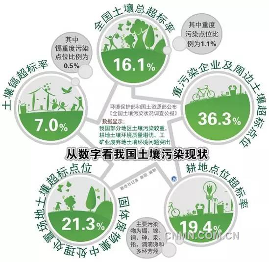 重金屬污染“毒地”就這樣煥發(fā)生機