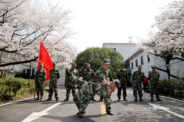 3月22日，陽光明媚，春意融融，銅陵有色安慶銅礦櫻花綻放。該礦民兵應(yīng)急分隊(duì)隊(duì)員們正在櫻花樹下展開擒敵技能大比武。據(jù)了解，這是一支平均年齡在三十歲以下、由青工組成的精干隊(duì)伍，在礦山急難險(xiǎn)重的工作中，都活躍著他們的身影，是一支作風(fēng)過硬、紀(jì)律嚴(yán)明、能打硬仗的礦山“護(hù)衛(wèi)隊(duì)”。