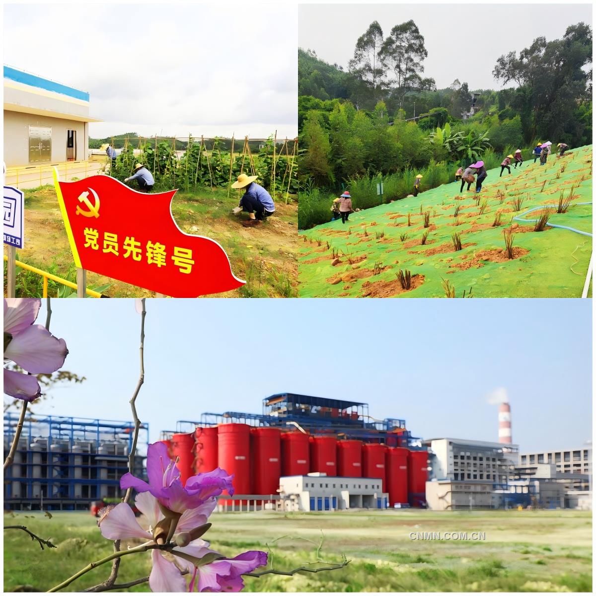 wps拼圖1