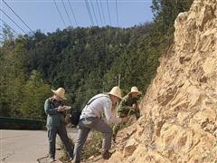 書寫地質(zhì)科技創(chuàng)新嶄新篇章——江西省地調(diào)院2024年科技工作紀(jì)實(shí)