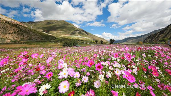 未來(lái)，巨龍銅業(yè)將不斷深化與國(guó)內(nèi)外科研院所的戰(zhàn)略合作，針對(duì)不同海拔、不同坡度開展生態(tài)修復(fù)試驗(yàn)，研究破解高原生態(tài)恢復(fù)治理難題，不斷提升礦山生態(tài)恢復(fù)治理工作水平，全力推進(jìn)綠色礦山、花園式礦山建設(shè)，努力打造高原礦山生態(tài)修復(fù)典范，探索一條礦山生產(chǎn)建設(shè)與生態(tài)環(huán)保相容兼顧、有機(jī)融合、相互促進(jìn)的綠色礦業(yè)發(fā)展之路。